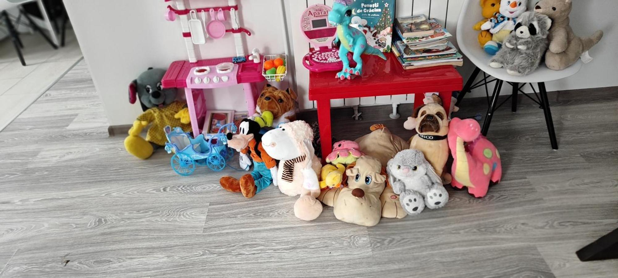 Vila Raisa Neagra Sarului Zewnętrze zdjęcie