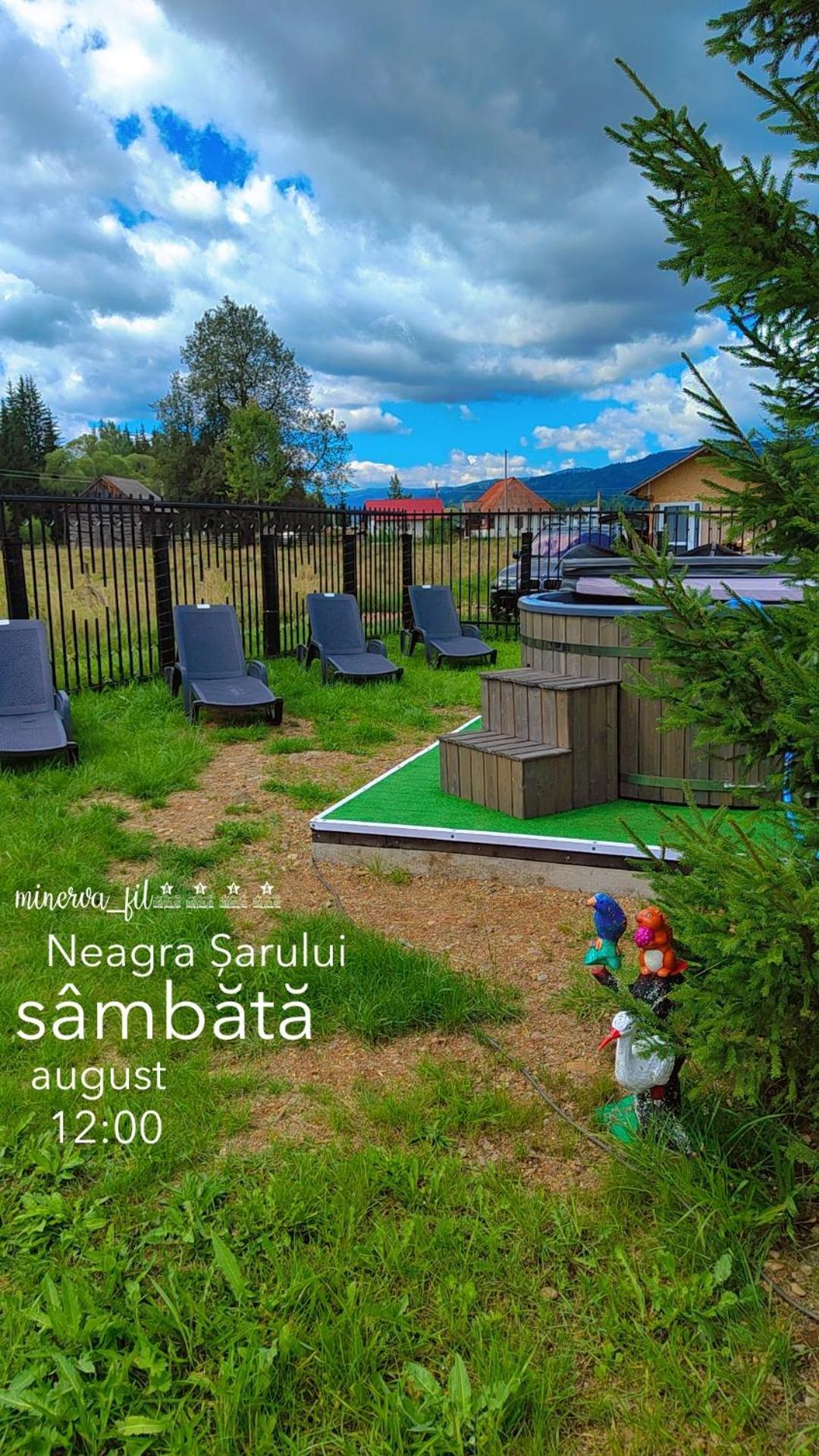 Vila Raisa Neagra Sarului Zewnętrze zdjęcie